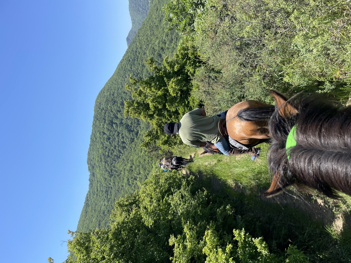 1-дневный конный тур в Тбилиси