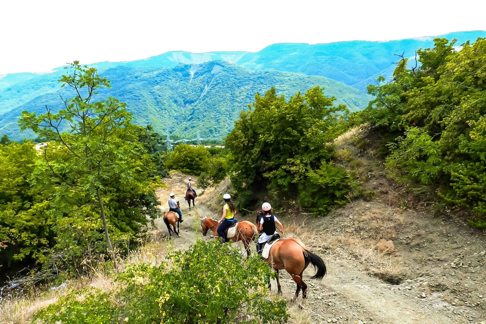 A Full-Day Horseback Riding Tour