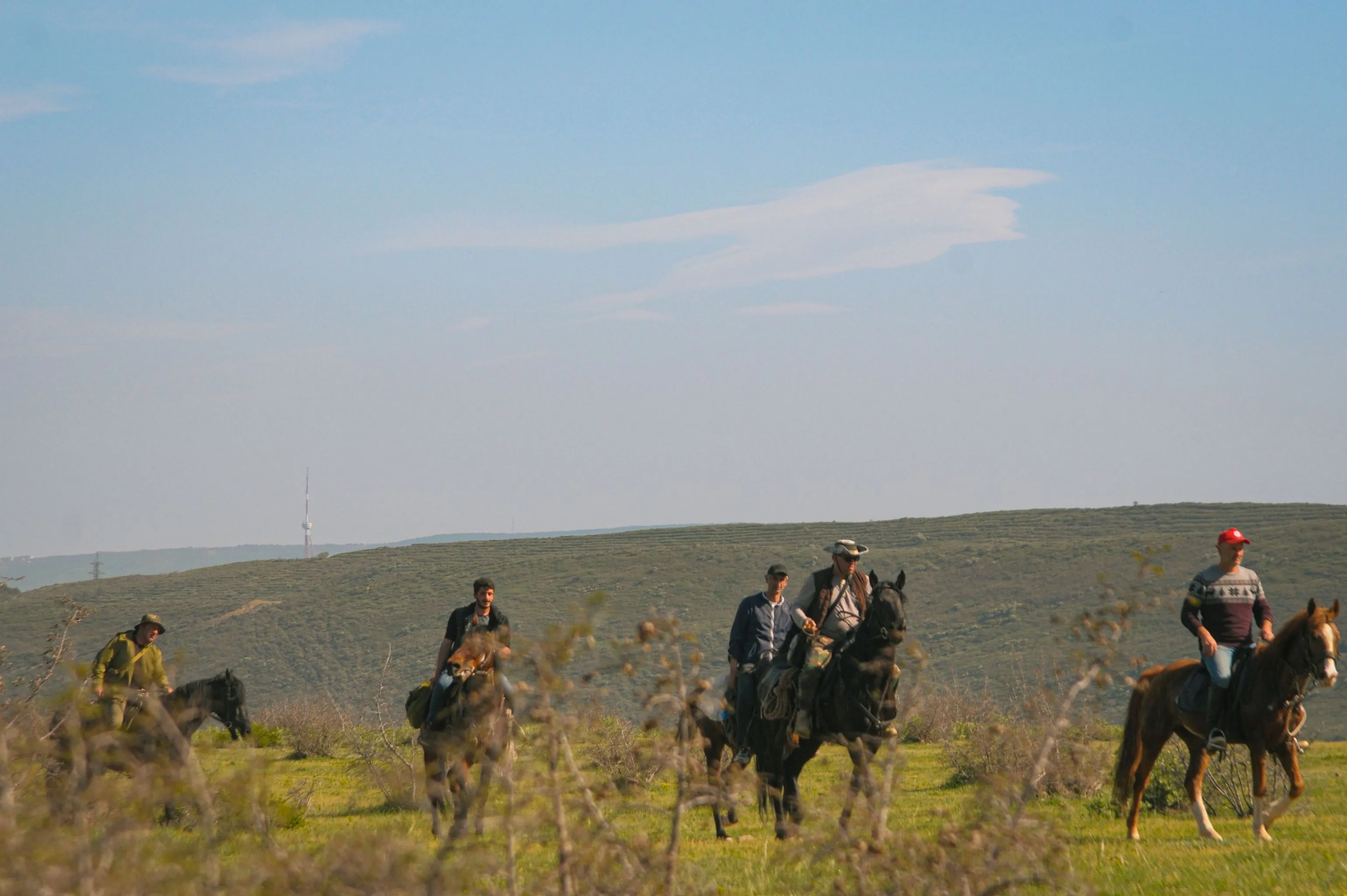 1.5-hours horse riding tours in Tbilisi, Dighomi