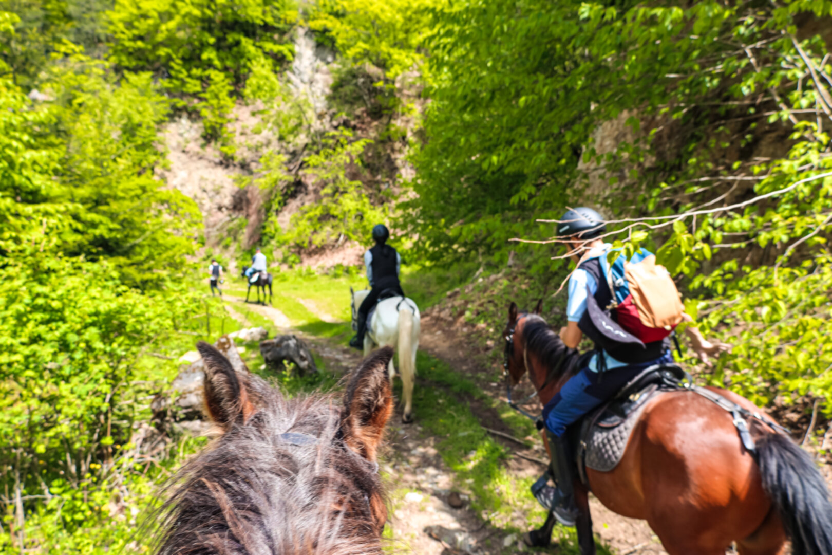 1 hour horse riding tour in Borjomi