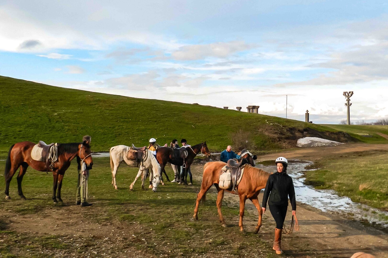 1-Day Horse Riding Tour on Trialeti Ridge