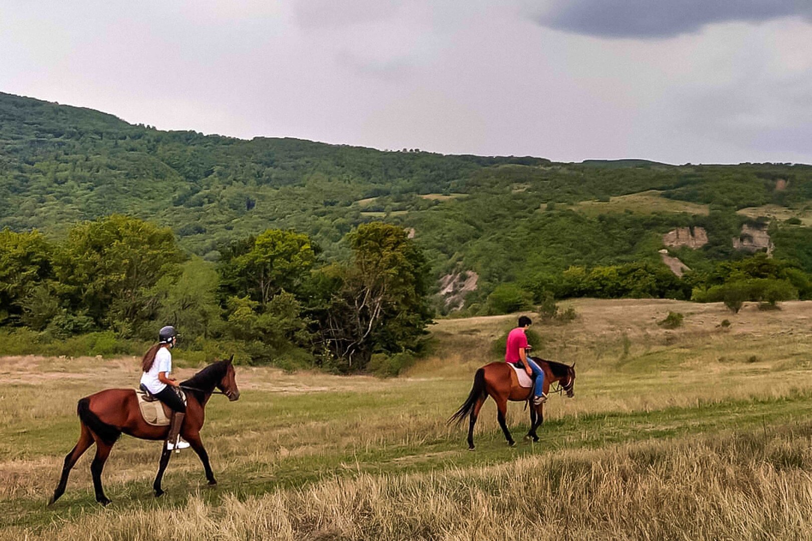 A Half-Day Horseback Riding Tour