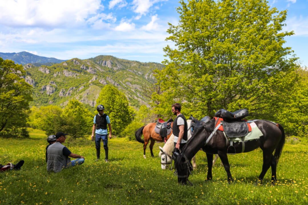 1 hour horse riding tour in Borjomi